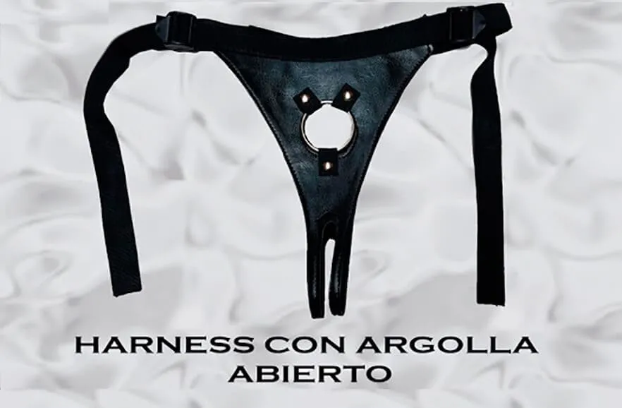 TM171 HARNESS CON ARGOLLA ABIERTO