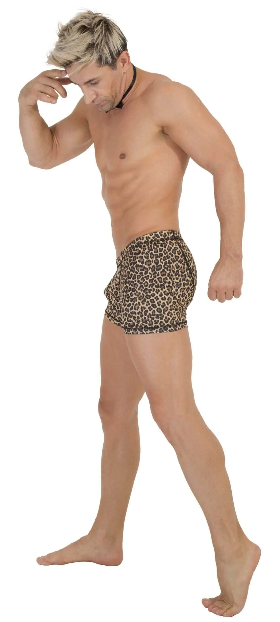 TABX 04 BOXER TIGRE